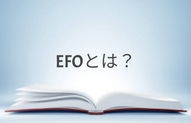EC用語解説「EFO」とは？その重要性と具体例
